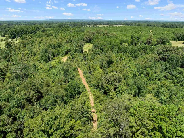 a view of yard with green space