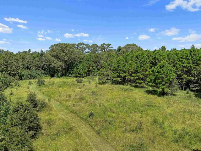 a view of a big yard with lots of green space and plants