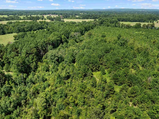 an aerial view of a houses with a yard