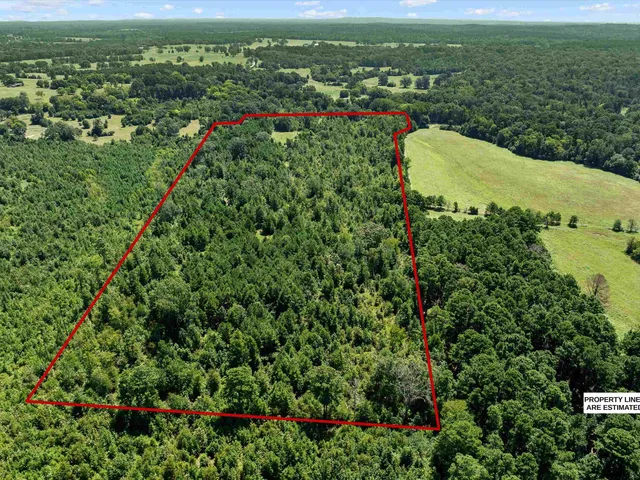 a view of a city with lush green forest