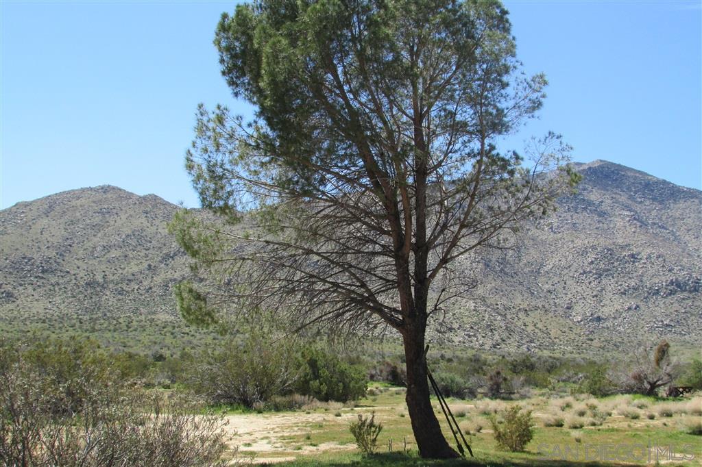 1150 Venture Valley Road Julian, CA 92036 - Photo 14 of 25 Gallery Image 14