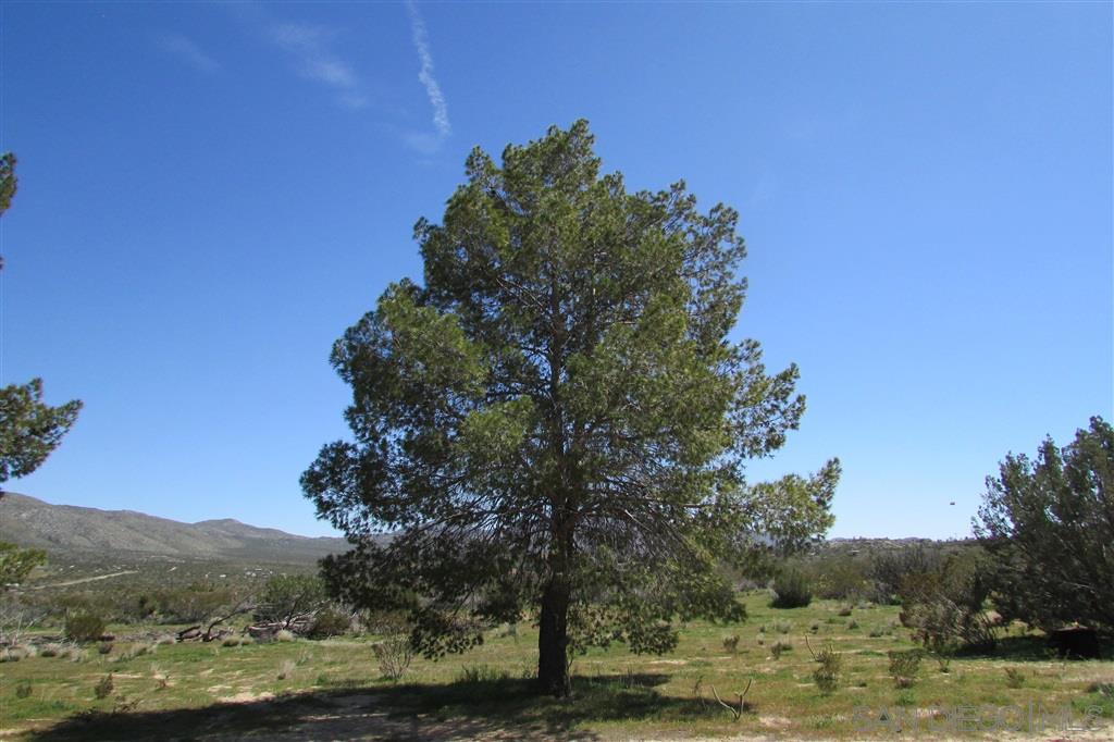 1150 Venture Valley Road Julian, CA 92036 - Photo 16 of 25 Gallery Image 16