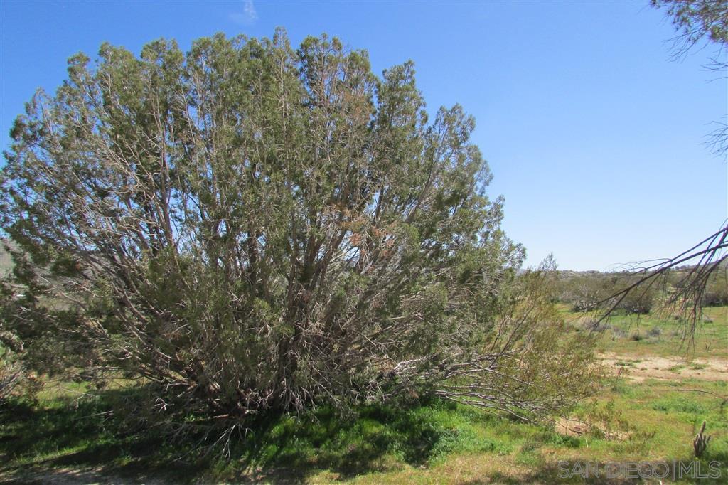 1150 Venture Valley Road Julian, CA 92036 - Photo 18 of 25 Gallery Image 18