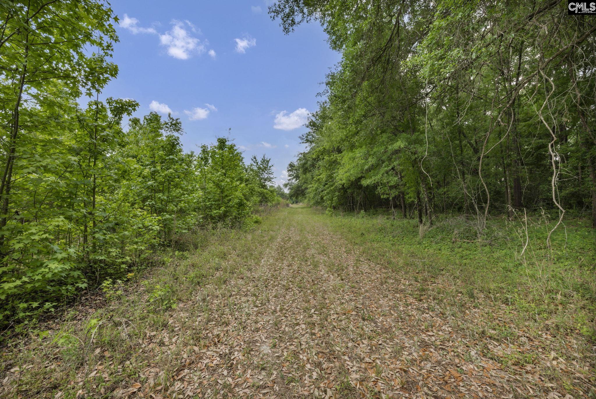 1244 Weston Road Hopkins, SC 29061 - Photo 60 of 67