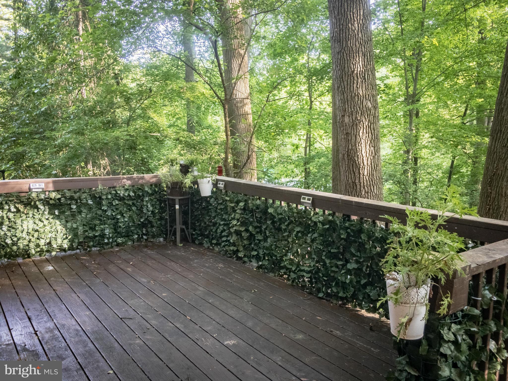 8507 Geren Road, Unit 201 Silver Spring, MD 20901 - Photo 20 of 20 Exterior (Rear)