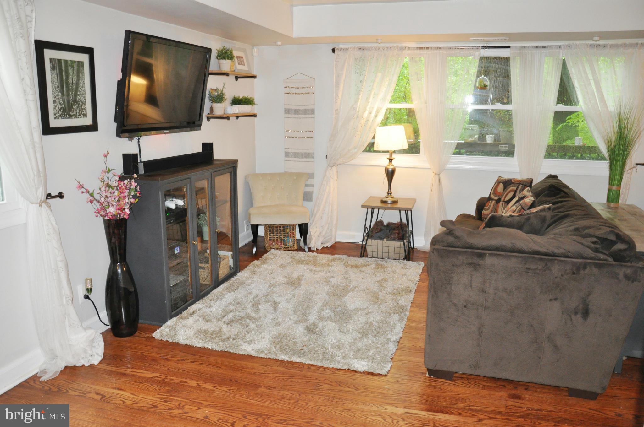 8507 Geren Road, Unit 201 Silver Spring, MD 20901 - Photo 3 of 20 Living Room