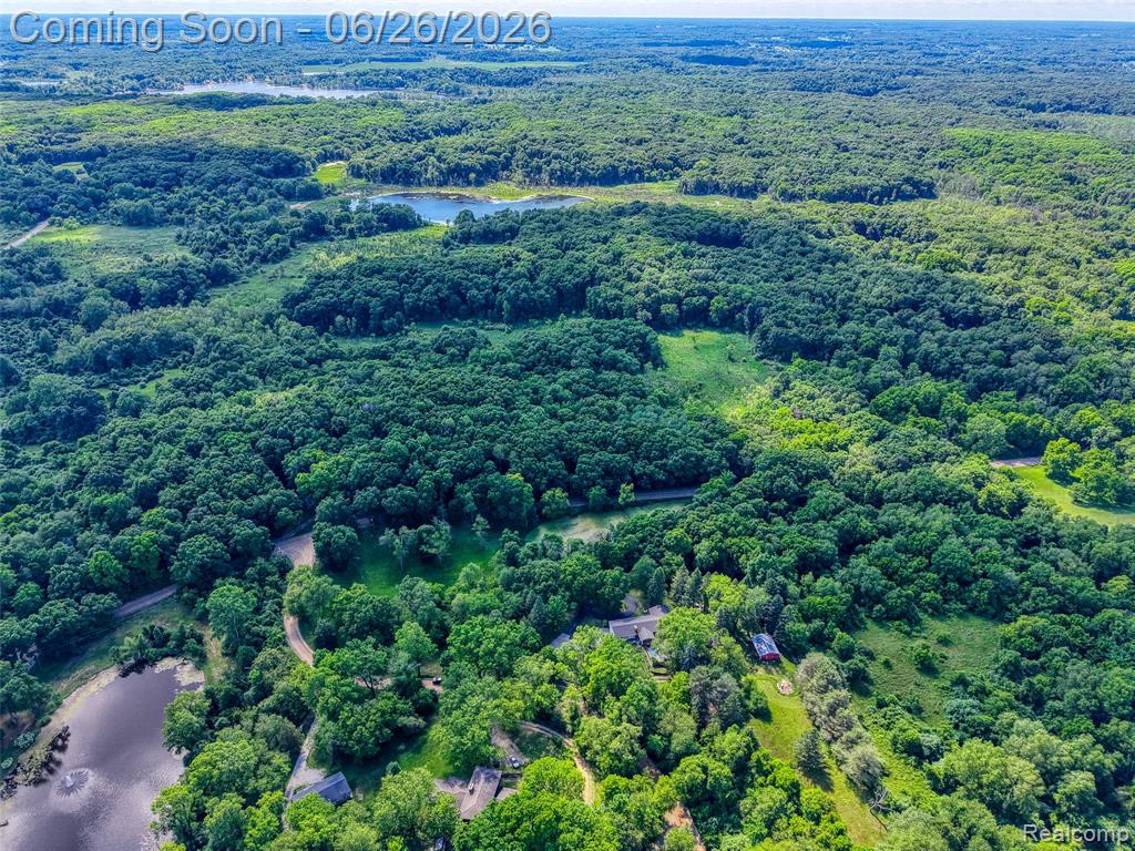 4200 Angels Pass Pinckney, MI 48169 - Photo 49 of 76