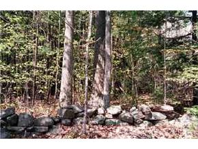 0 London Road Westmoreland, NH 03467 - Photo 2 of 3