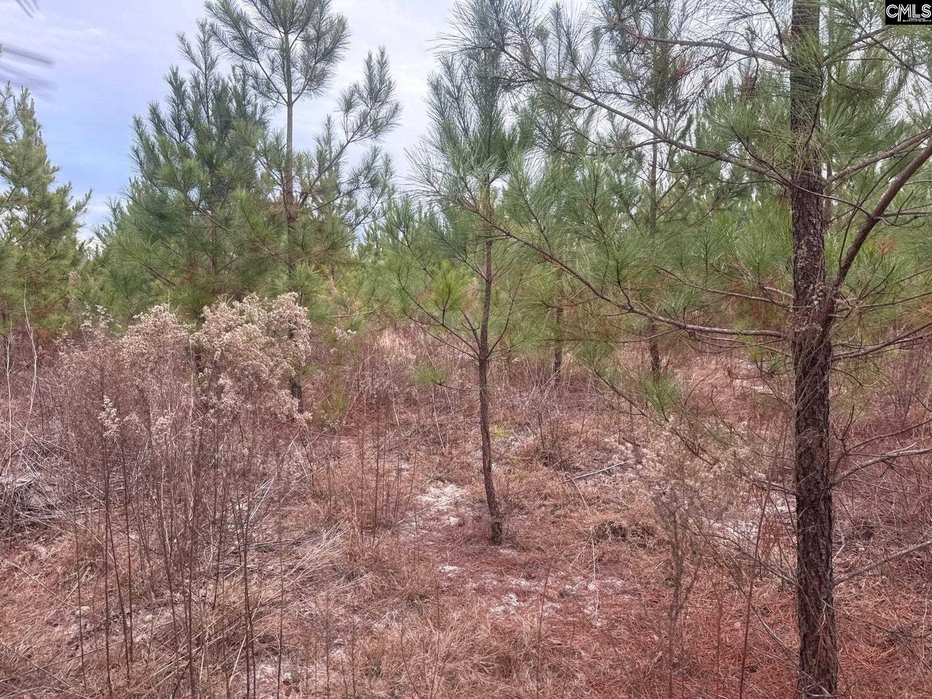 9 Quattlebaum Road, Unit QBF 9 Leesville, SC 29070 - Photo 7 of 12