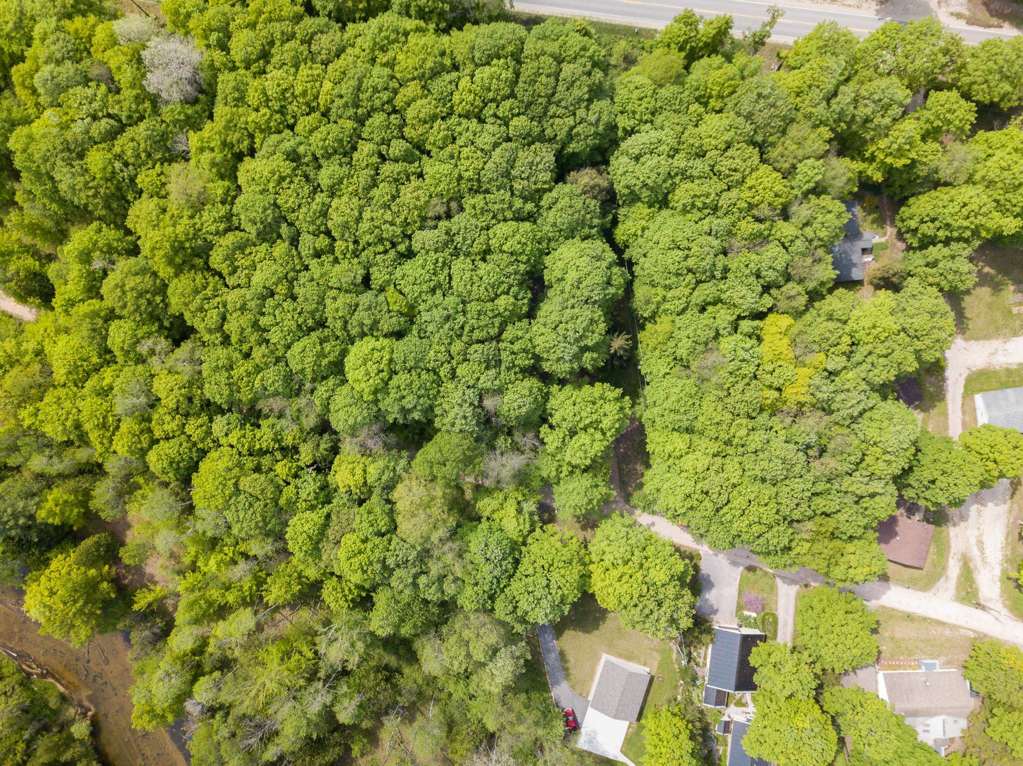 1250 River Road Beulah, MI 49617 - Photo 35 of 56 1911443-34.JPG