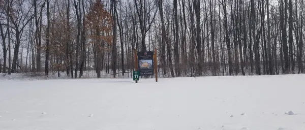 $145,000 | 794 Greystone Drive, Unit 7, Chelsea, MI 48118