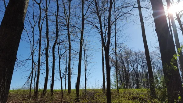$145,000 | 794 Greystone Drive, Unit 7, Chelsea, MI 48118