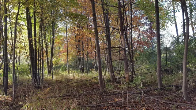 $145,000 | 794 Greystone Drive, Unit 7, Chelsea, MI 48118