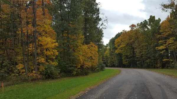 $145,000 | 794 Greystone Drive, Unit 7, Chelsea, MI 48118