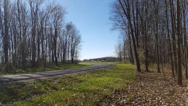 $145,000 | 794 Greystone Drive, Unit 7, Chelsea, MI 48118