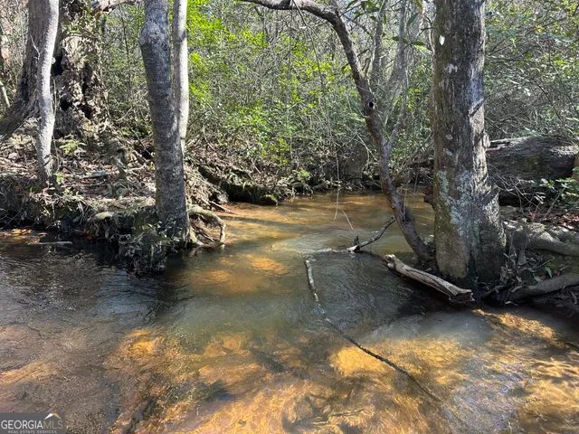 a view of a lake from a yard