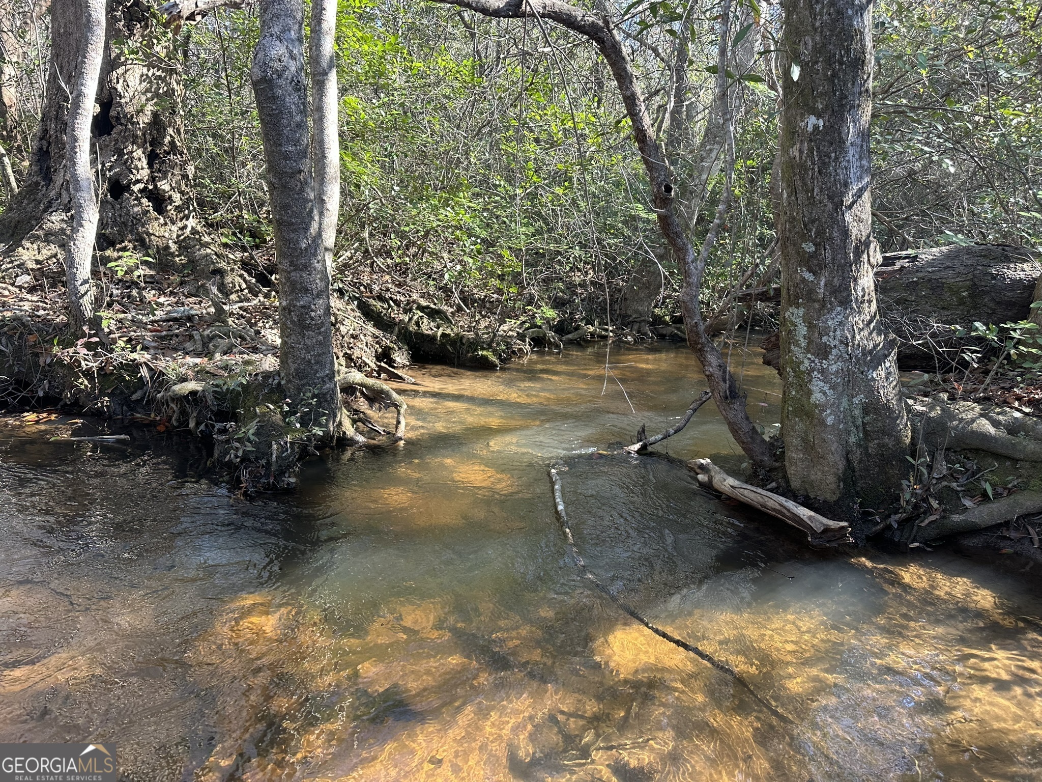a view of a lake from a yard