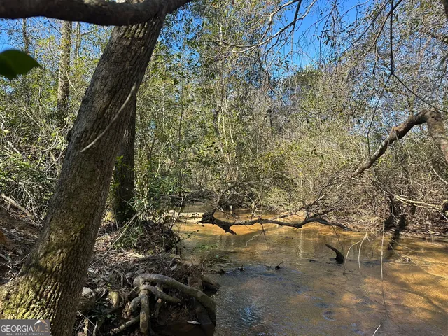 a view of outdoor space and a yard