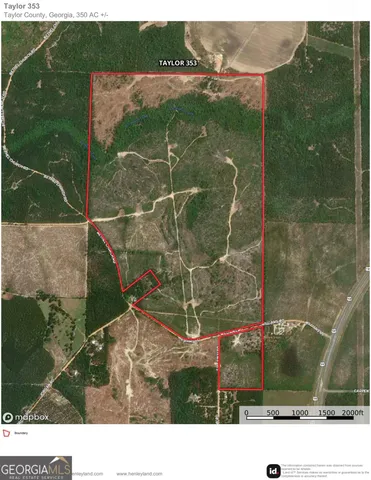 a black and white photo of a garden