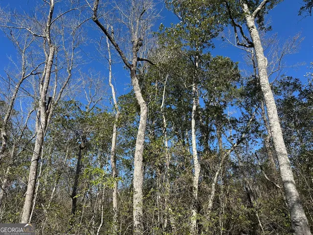 a view of a house with a tree