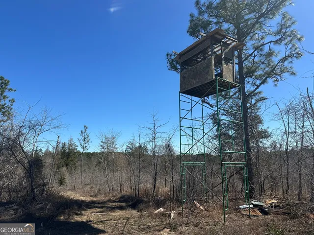 a view of a back yard