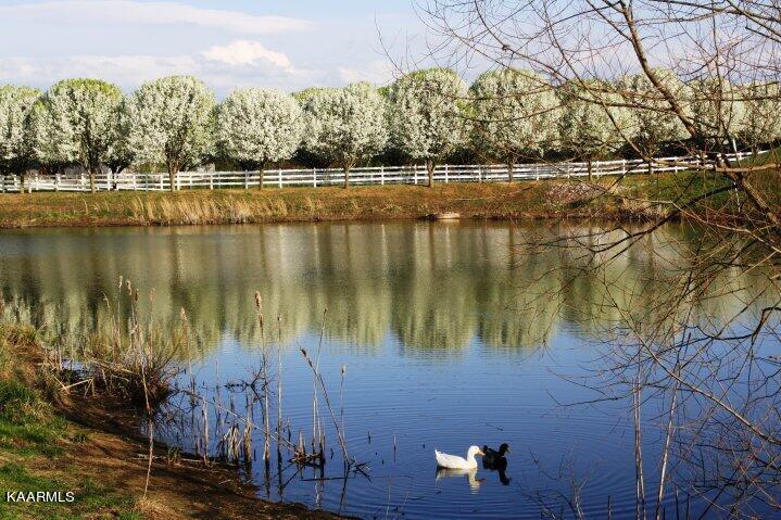 167 Country Way Road Vonore, TN 37885 - Photo 54 of 61 outside my window