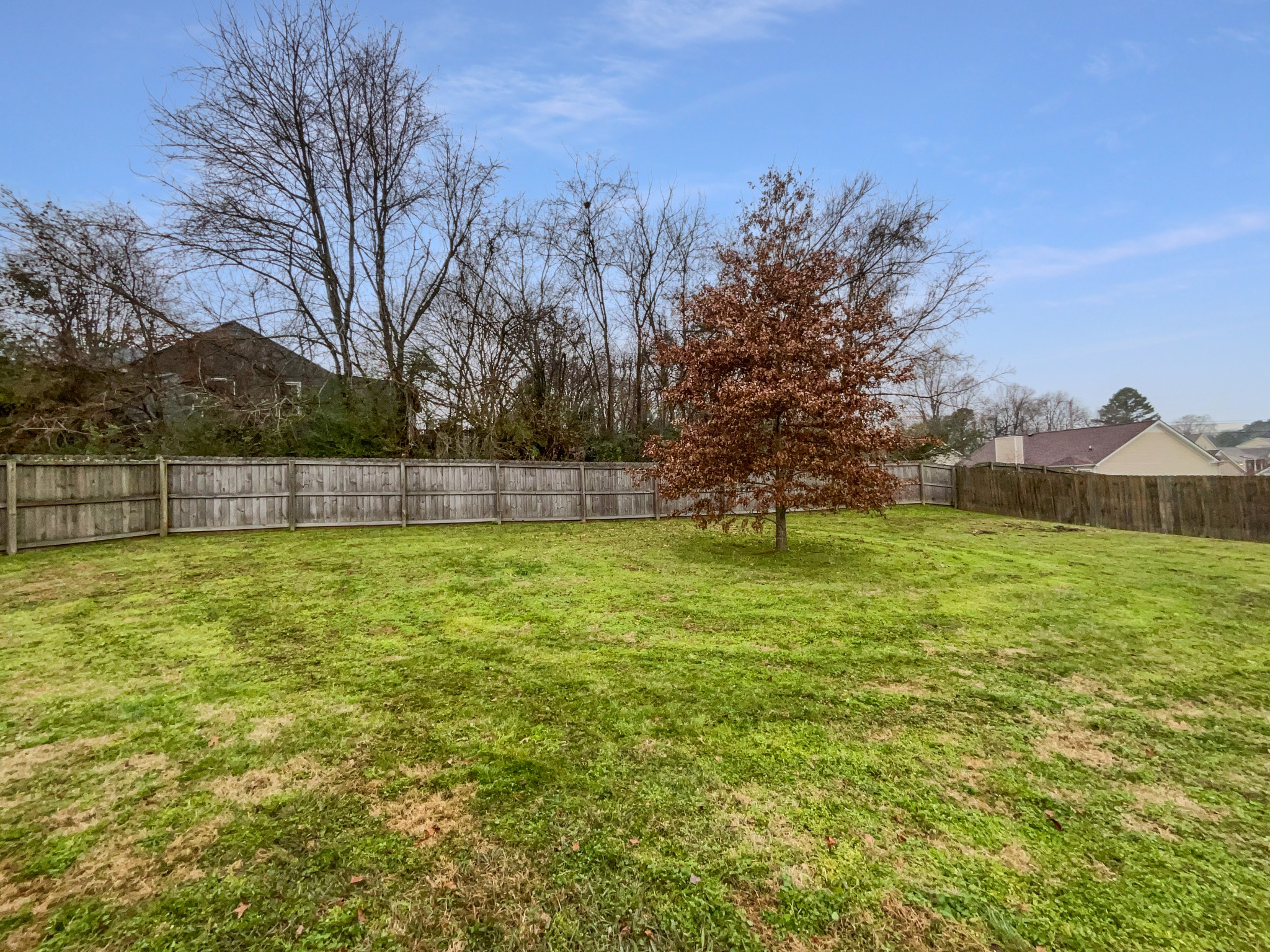760 Autumn Ridge Lane Columbia, TN 38401 - Photo 18 of 19 a view of yard with trees