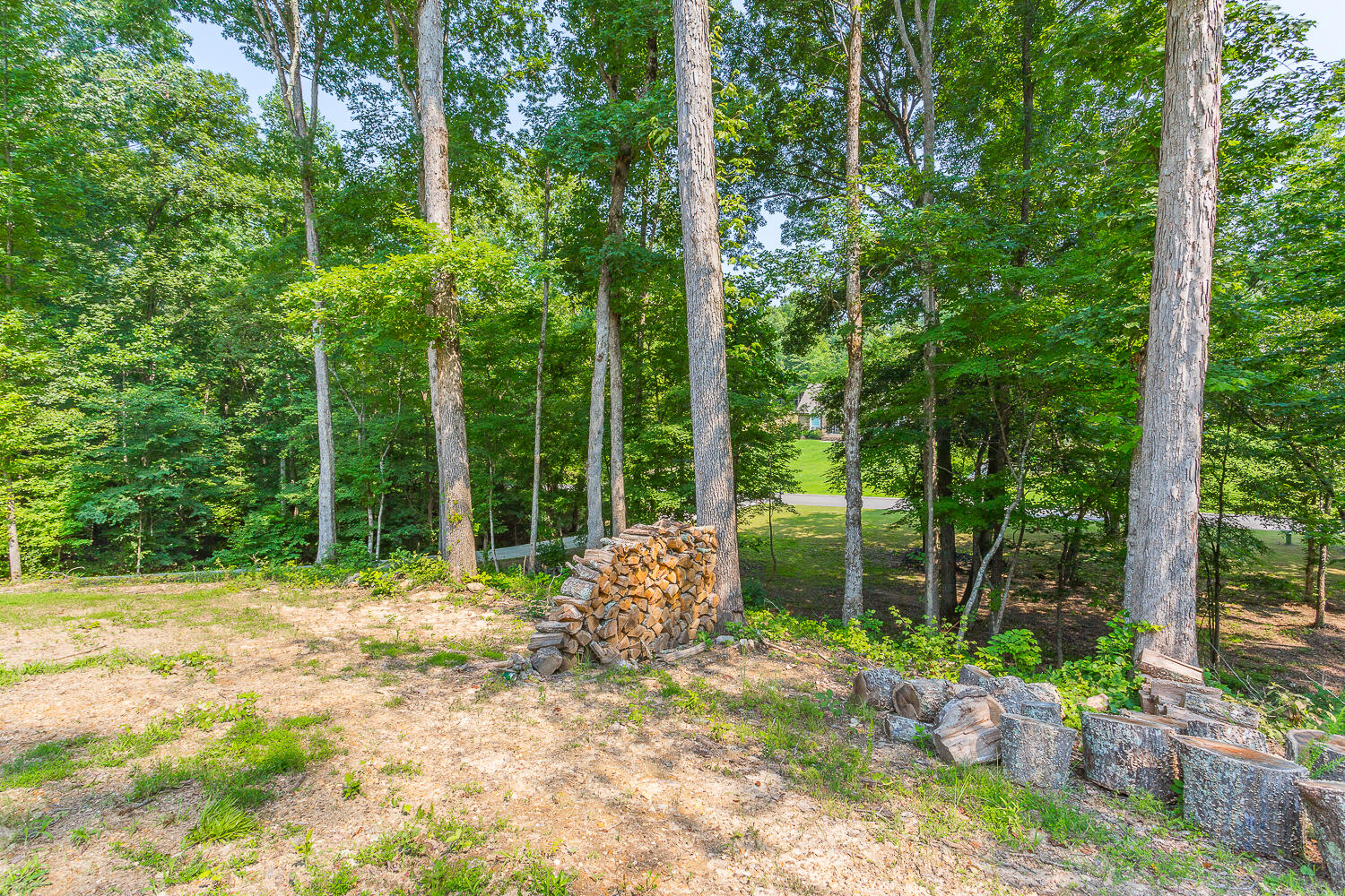 3100 Hidden Lake Road Dalton, GA 30721 - Photo 41 of 42 3100 Hidden Lake HD -4