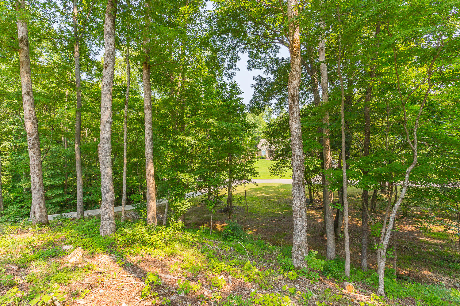3100 Hidden Lake Road Dalton, GA 30721 - Photo 42 of 42 3100 Hidden Lake HD -5