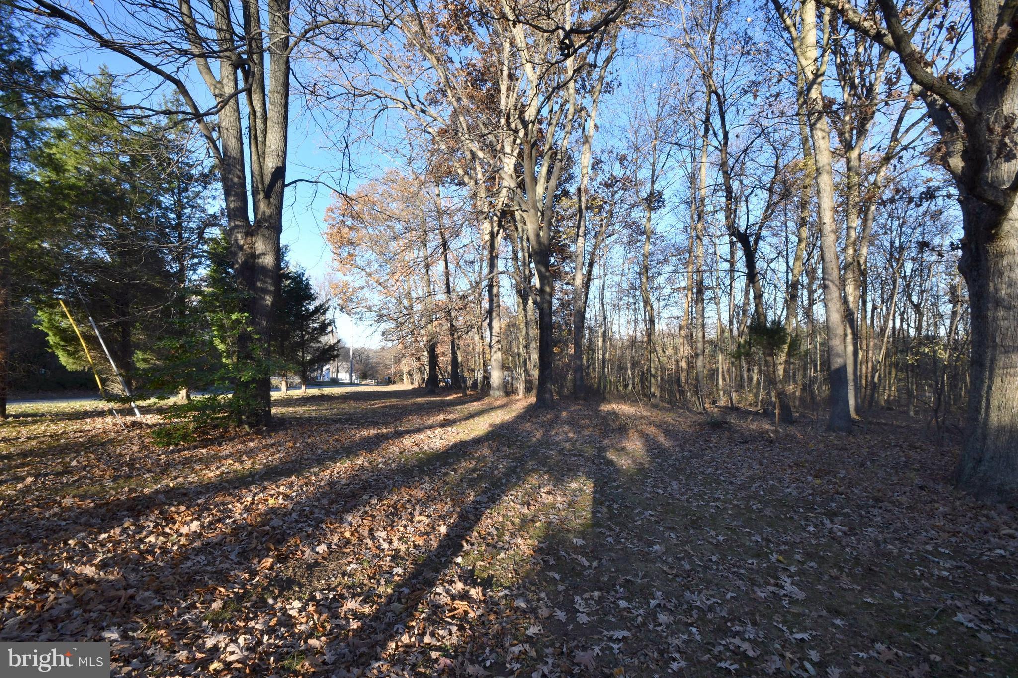 1007 Carsins Run Road Aberdeen, MD 21001 - Photo 22 of 28 Exterior (Rear)