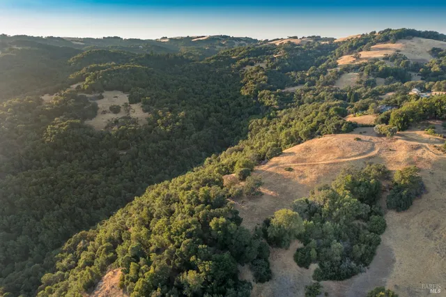 a view of a forest with mountains in the background