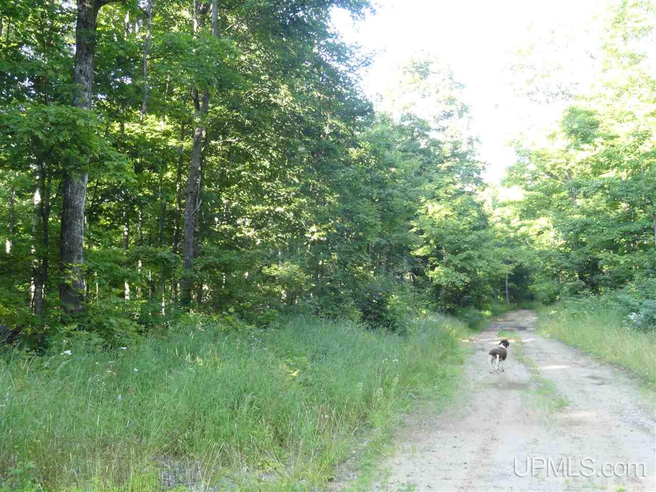 80 NORTH Off Co Road Ishpeming, MI 49849 - Photo 8 of 19