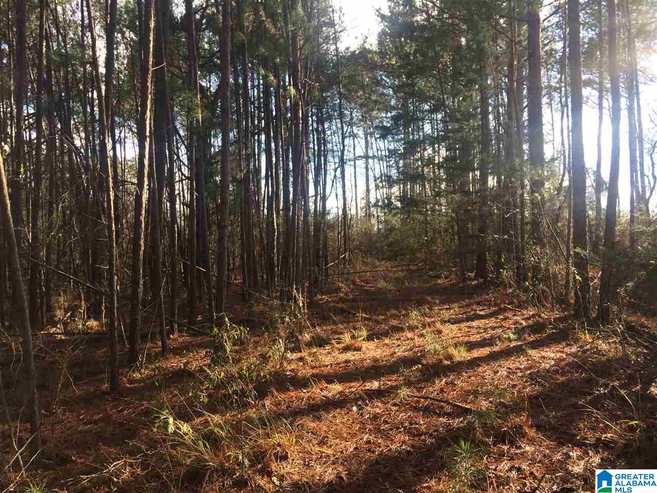 0 Booger Hollow Road, Unit 1 Dadeville, AL 36853 - Photo 2 of 3