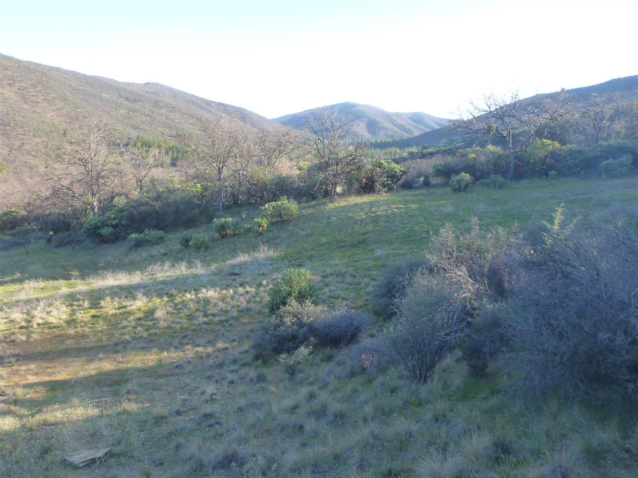 0 Guys Gulch Road Yreka, CA 96097 - Photo 11 of 16 Gallery Image 11
