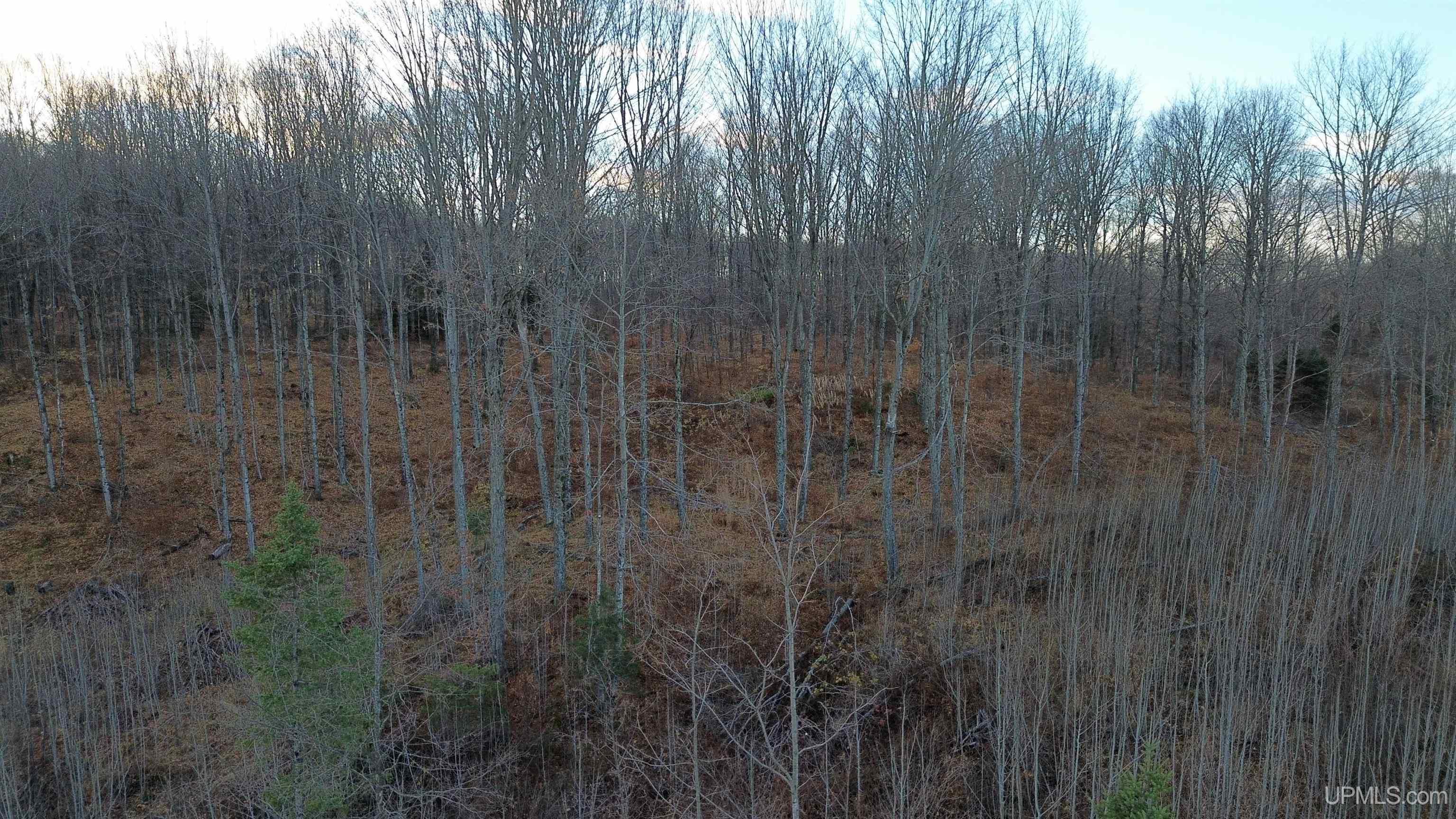 M26 M 5 Road Felch, MI 49831 - Photo 7 of 12