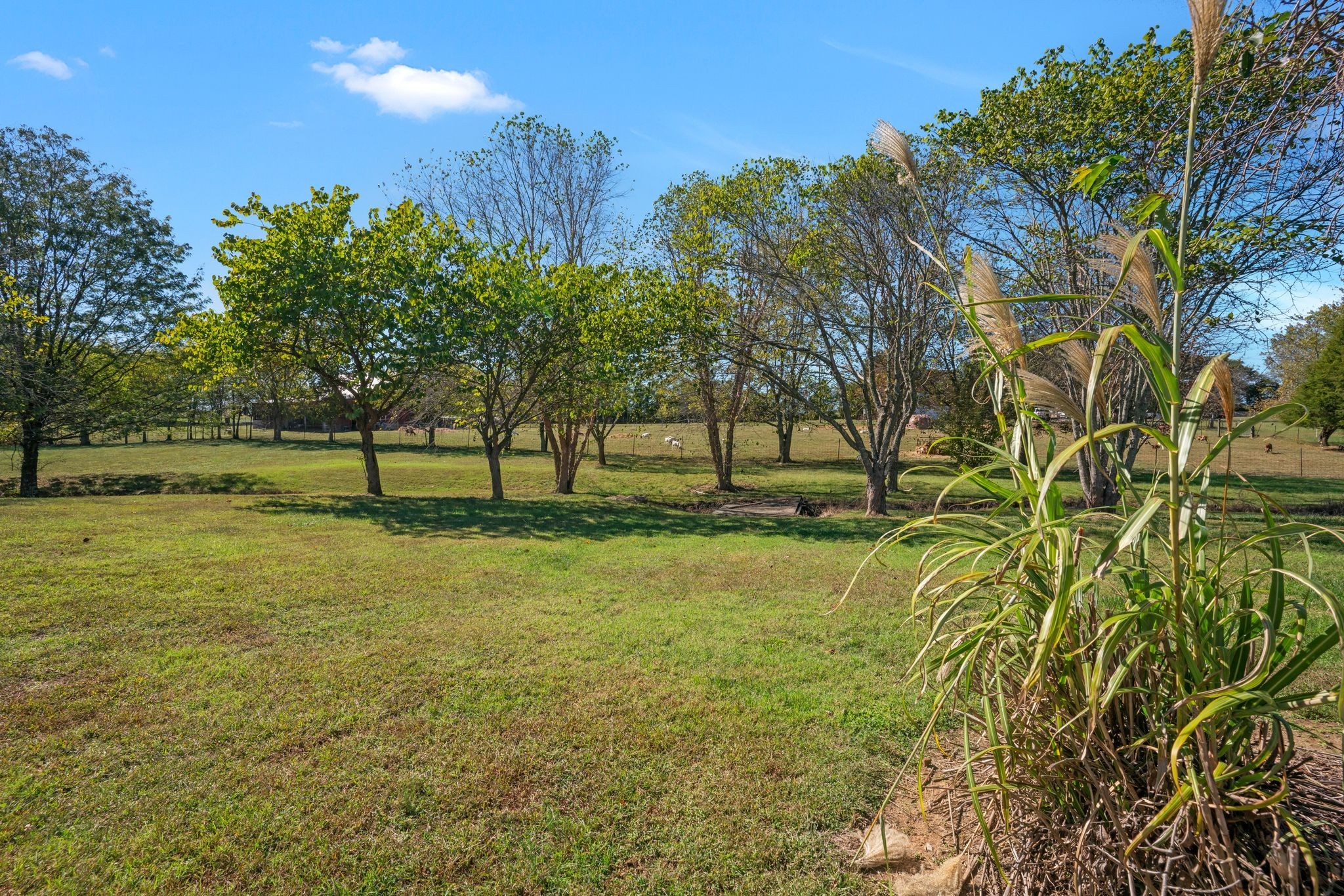 160 Mann Road Lebanon, TN 37087 - Photo 55 of 60