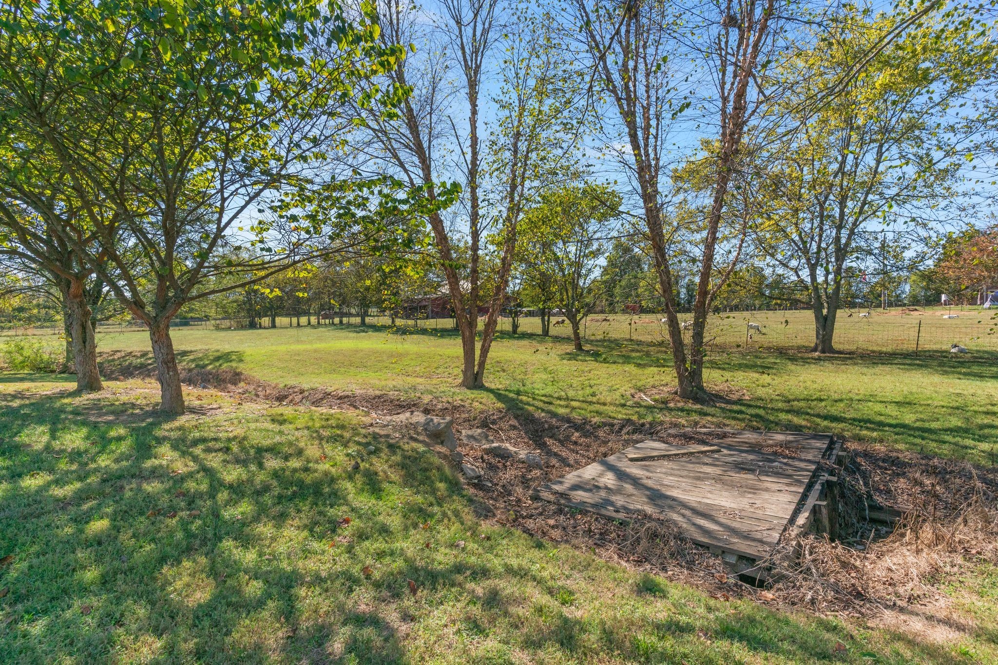 160 Mann Road Lebanon, TN 37087 - Photo 56 of 60