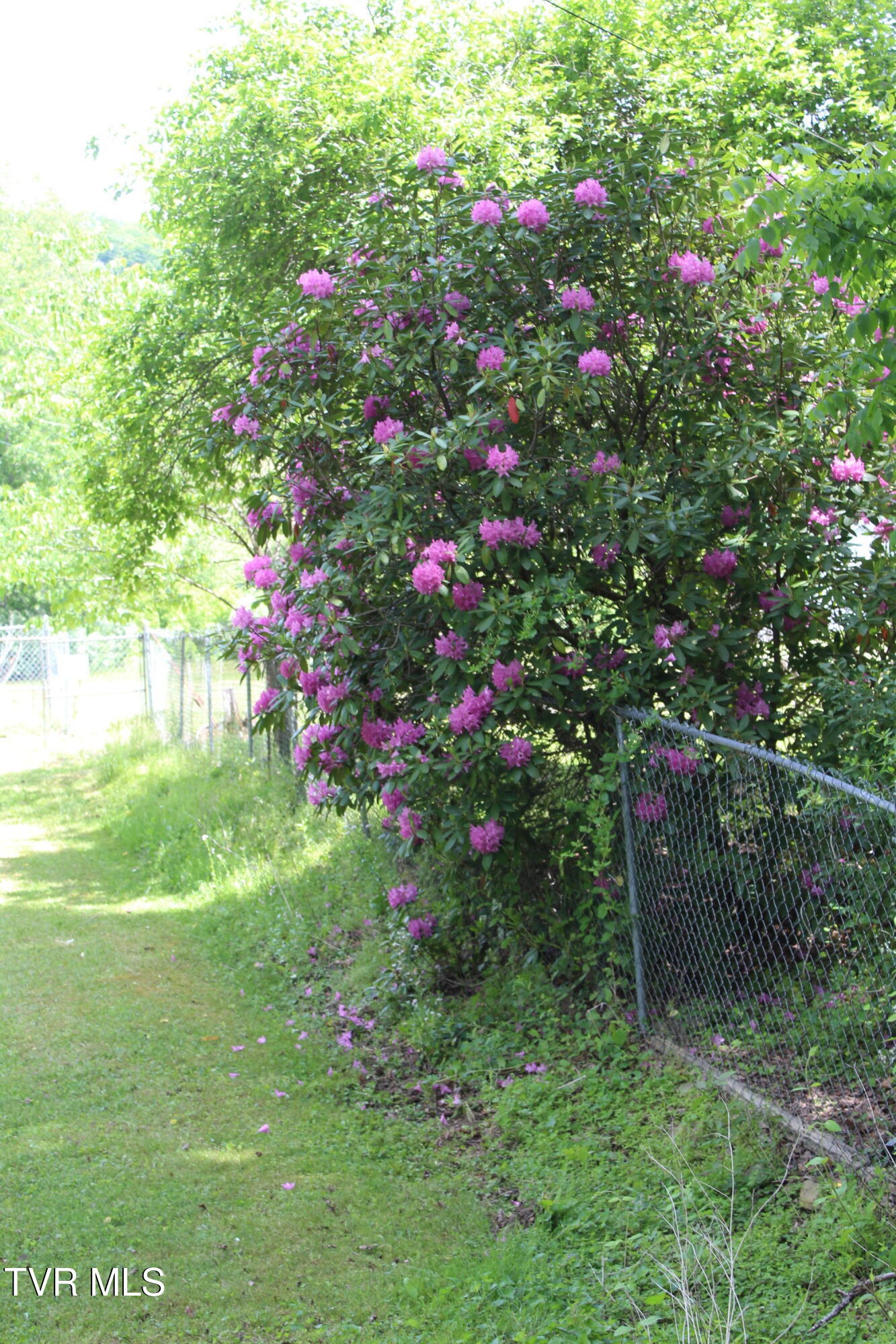 490-484 State Rte 606 St. Charles, VA 24282 - Photo 81 of 85 IMG_6812