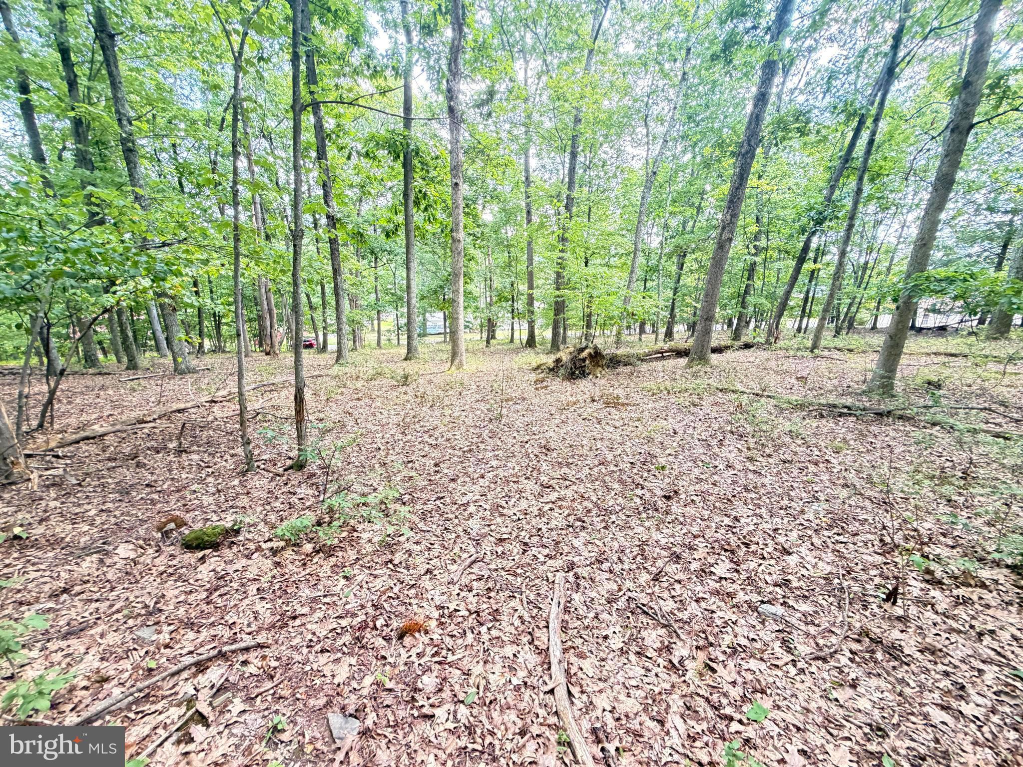 39 Goodwin Drive Hunlock Creek, PA 18621 - Photo 10 of 14 Gallery Image 10