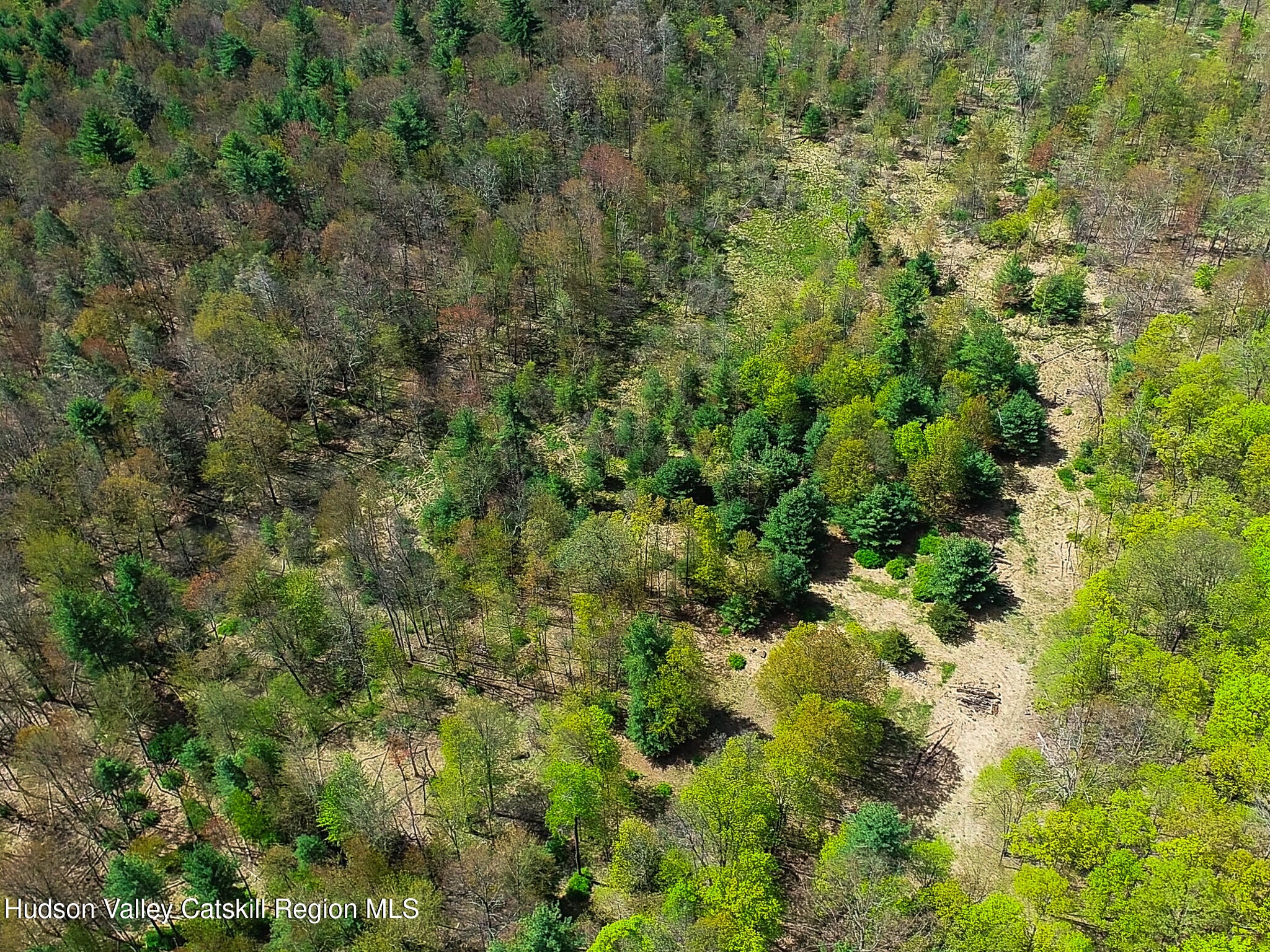 0 Upper Samsonville Road Olivebridge, NY 12461 - Photo 12 of 20 a view of a forest with a tree