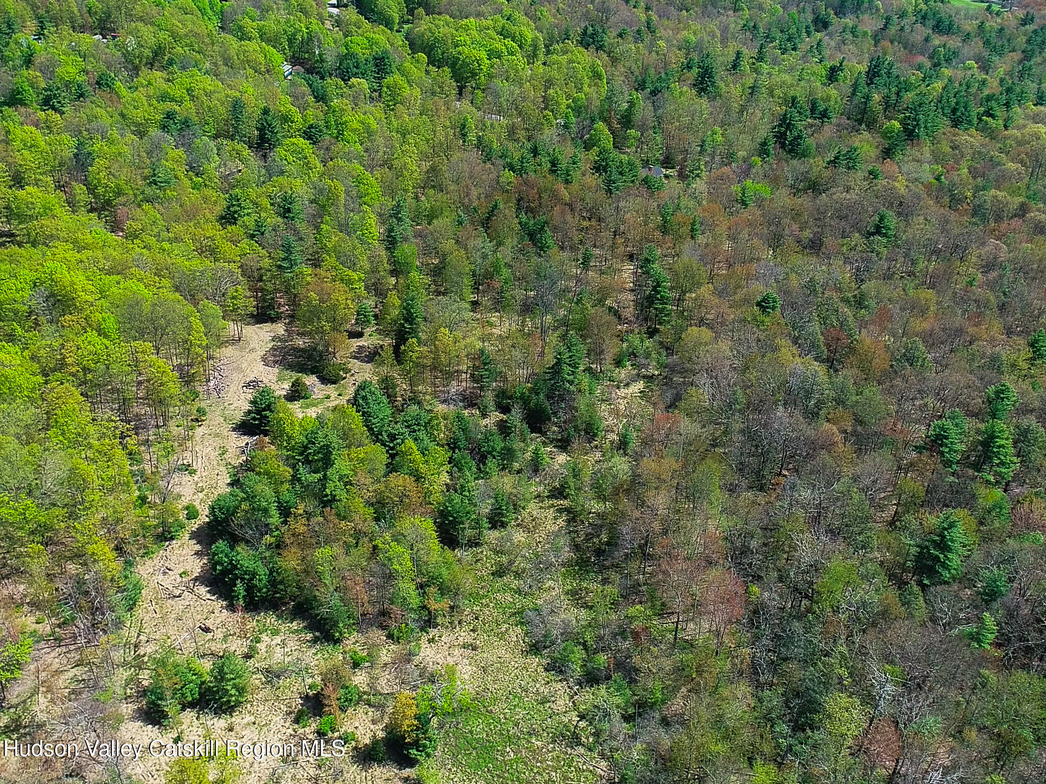 0 Upper Samsonville Road Olivebridge, NY 12461 - Photo 13 of 20 a view of a lush green forest with lots of trees