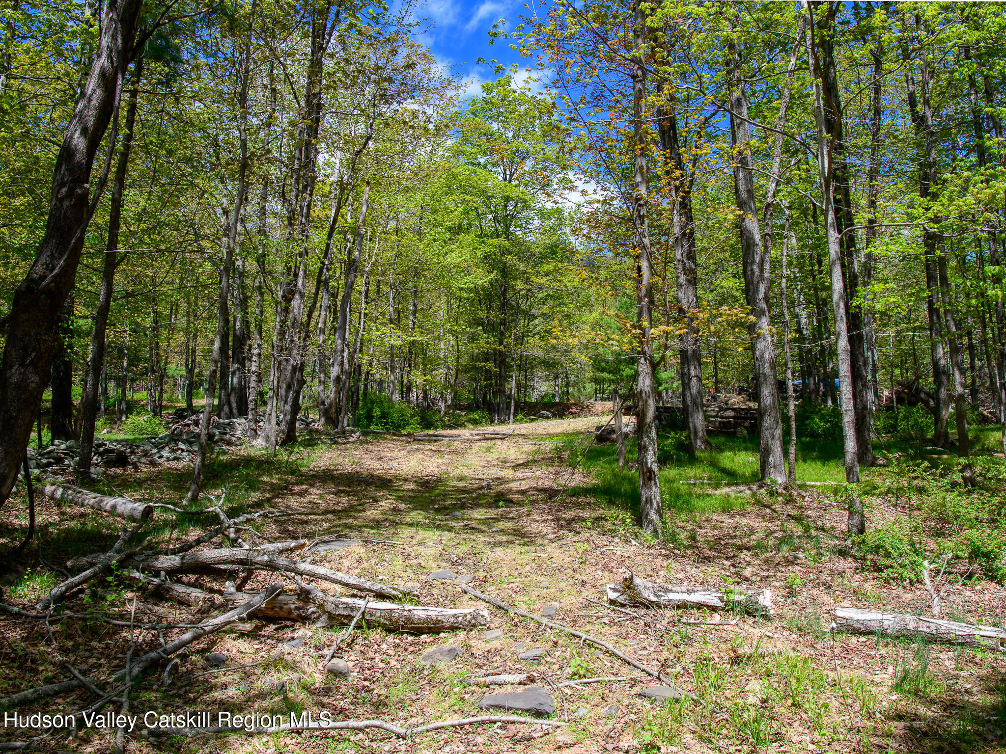 0 Upper Samsonville Road Olivebridge, NY 12461 - Photo 3 of 20 a view of backyard with green space