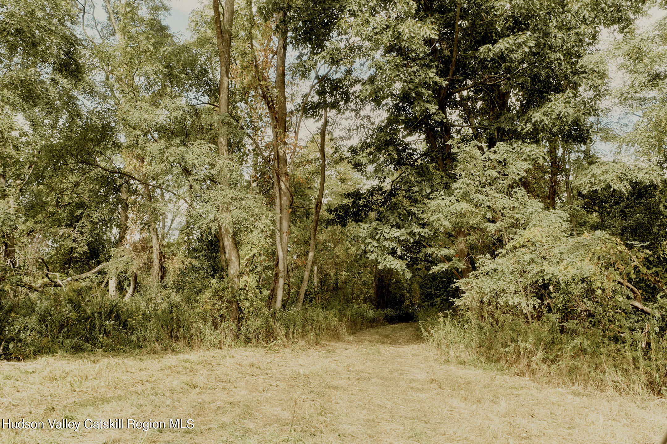1320 River Road Schodack, NY 12156 - Photo 24 of 27 Copy of 2024.09.24_LM_SCHODACKLANDING__1