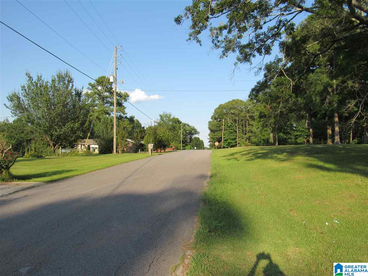 384 Pine Hill Road Jemison, AL 35085 - Photo 6 of 37