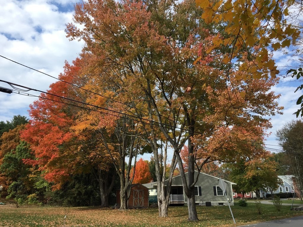 2 Gilmore Road Southborough, MA 01772 - Photo 33 of 33 a view of road with trees