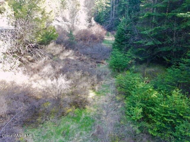 Nna East Bell Canyon Road Harrison, ID 83833 - Photo 15 of 22 Potential Driveway Location