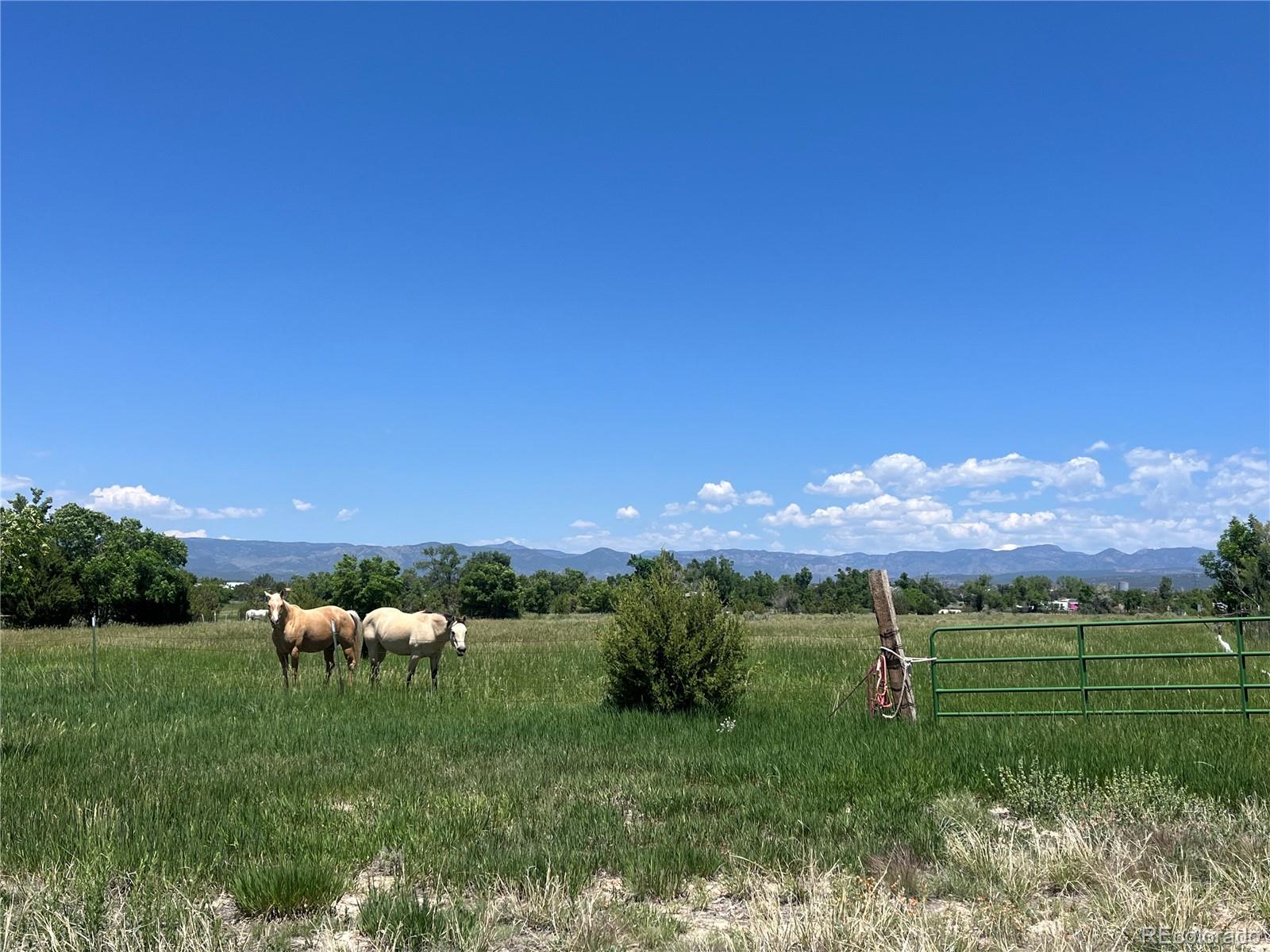 988 P Street Penrose, CO 81240 - Photo 33 of 48 a view of a lake with a yard