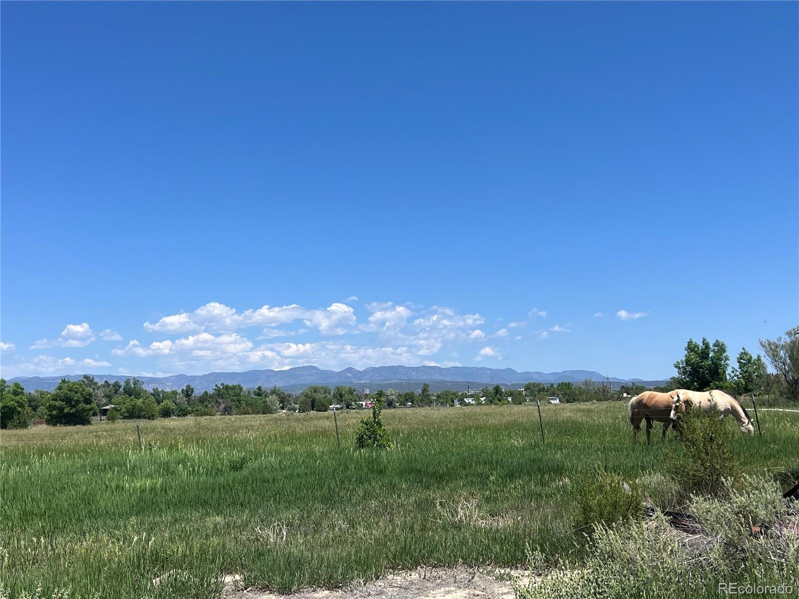 988 P Street Penrose, CO 81240 - Photo 35 of 48 a view of a lush green outdoor space with mountain view