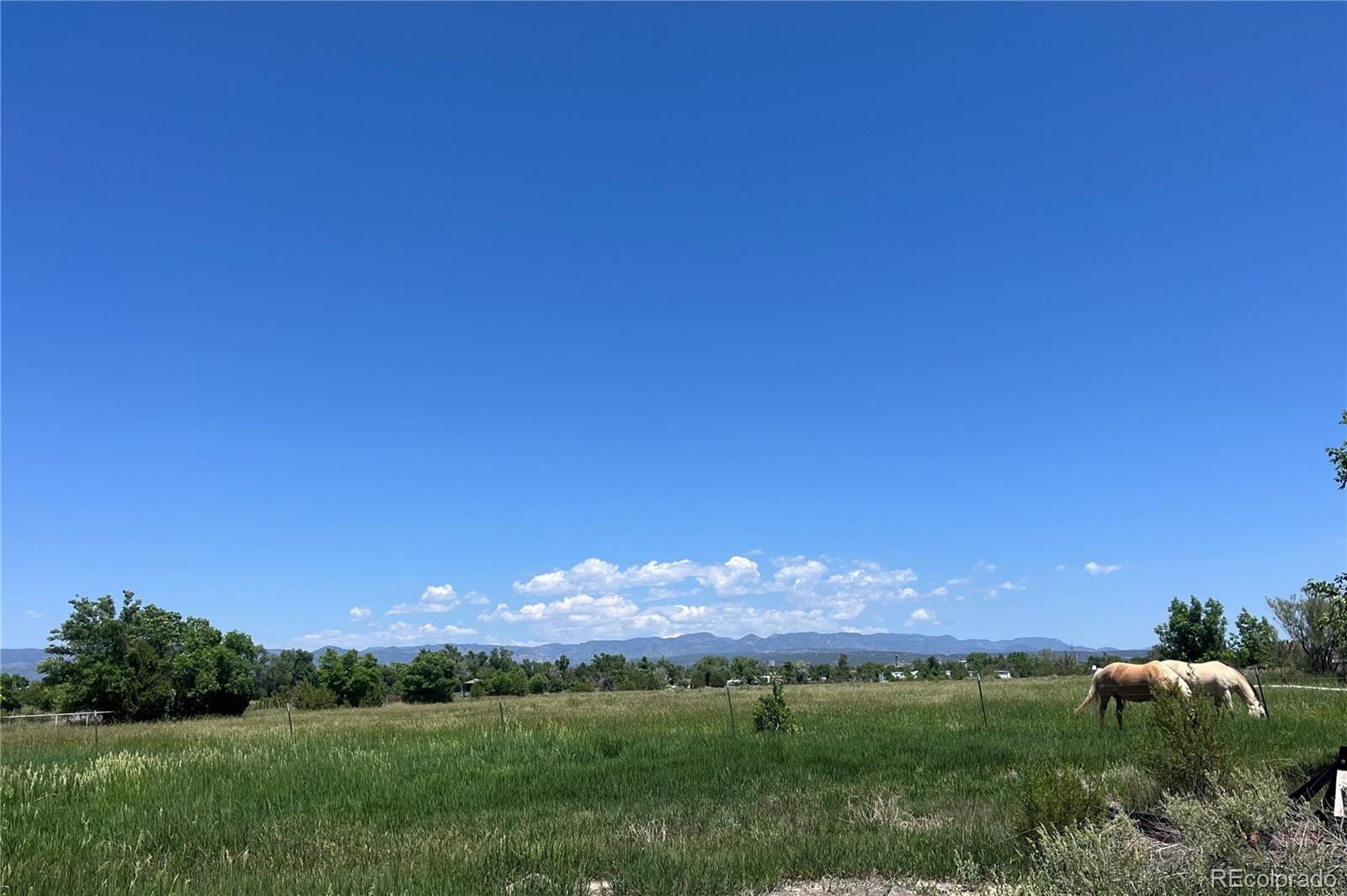 988 P Street Penrose, CO 81240 - Photo 36 of 48 a view of a city with lush green forest
