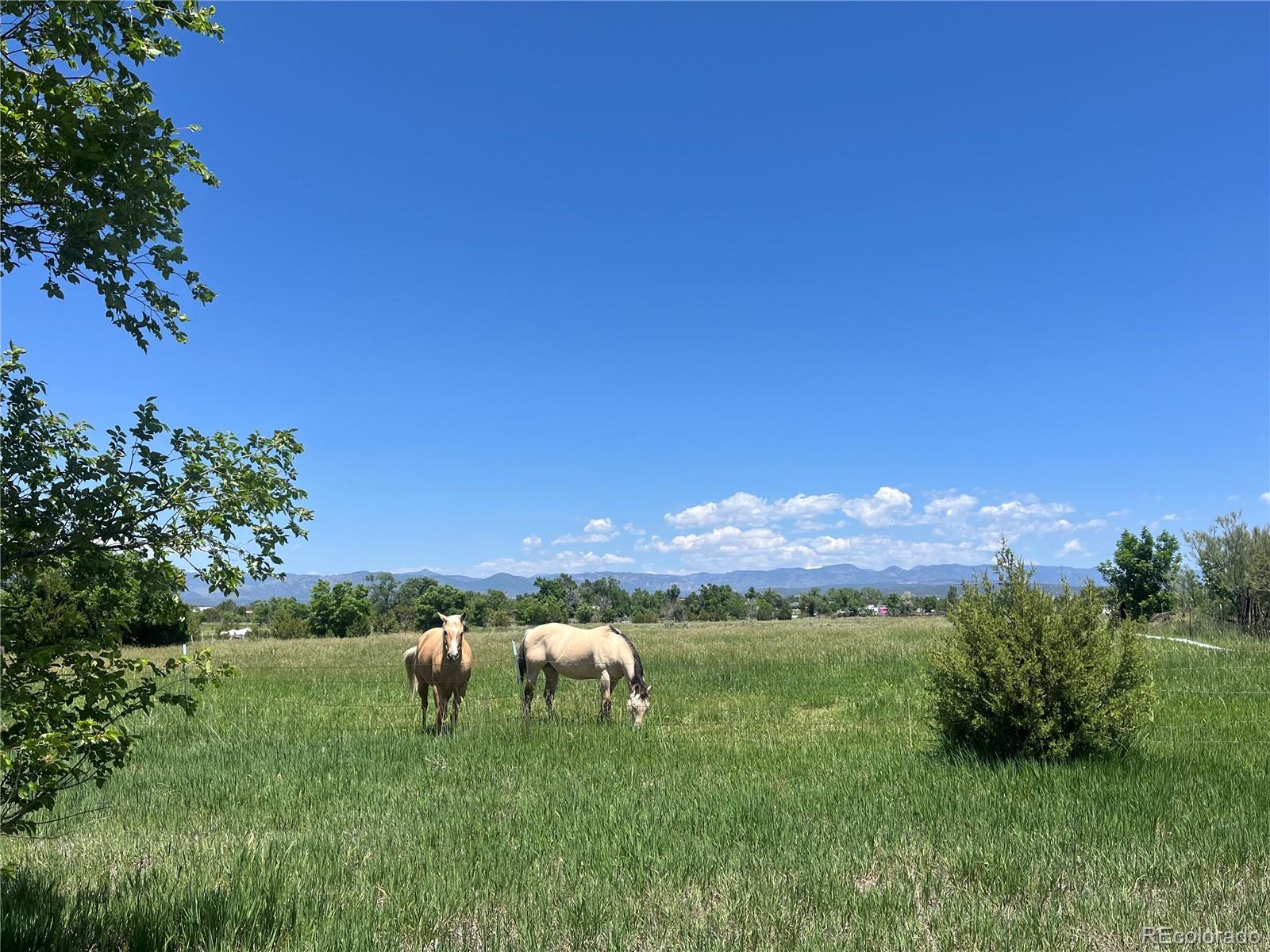 988 P Street Penrose, CO 81240 - Photo 37 of 48 a view of outdoor space and yard